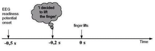 Diagrama de Libet 1