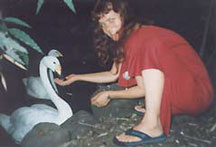 Dolano con cisne