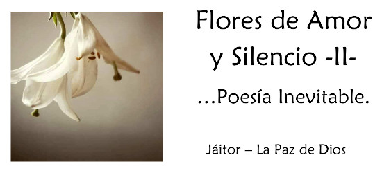 Flores de Amor y Silencio II