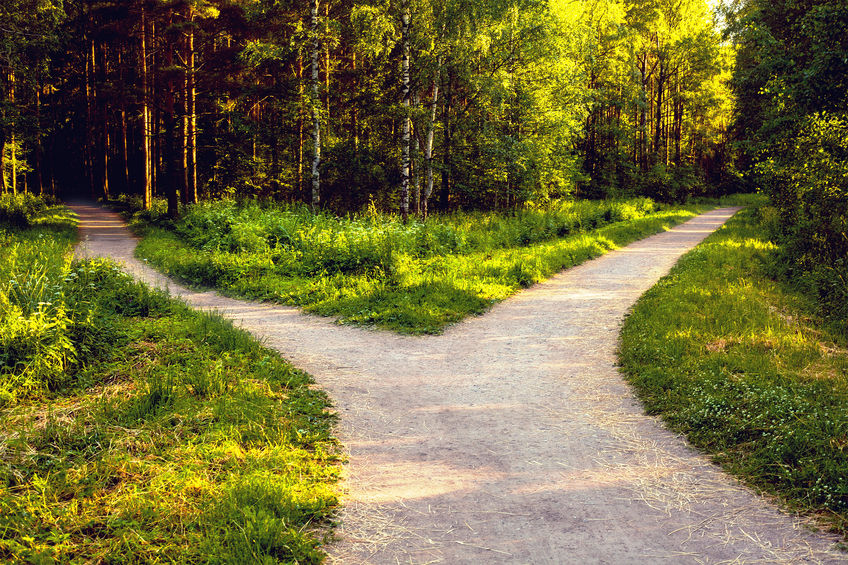 Fork in the road